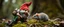 Placeholder: close up on pixie quickling gnome and a huge funny mouse, with background motion blur, in magical forest scene, in the style of Rembrandt