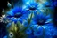 Placeholder: composition of daisies and bright blue cornflowers made of mastic, aesthetically pleasing, ultra-transparent structures of shining smoke, full-length airy-floral- fabulous-fantasy drawing of details, color illustration of a real photo, high resolution, high detail