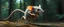 Placeholder: rat gremlin elf halfling pixie fast runner, airbrush and pen outline, realistic 3d rendering with high contrast motion blur forest background