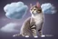 Placeholder: A cat shaped cloud