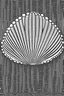 Placeholder: Coquille Saint-Jacques avec Croix de Saint-Jacques