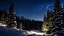 Placeholder: close up,fir forrest scenery,forest,night,snow,riverside,lanterns,fir tree,night