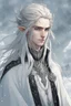 Placeholder: a young high elf frost Wizard with long wiry hair, wearing a black trimmed white nobleman's robe and frost ornaments on clothes