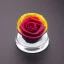 Placeholder: transparent multicolor crystal rose