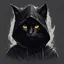 Placeholder: black cat with a hood in jagged art style