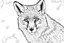Placeholder: colouring book page, portrait of a fox