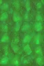 Placeholder: Seamless Green and solver Fishscale Pattern Shimmering Scales in Harmonious Motion