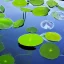 Placeholder: Reflection of plants in pool of water, nature photography, calm, Zen, soft lighting, beautiful