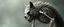 Placeholder: Werewolf Skeleton with lotsa fluffy fur