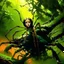 Placeholder: WOMAN SPIDER IN THE JUNGKE . Supernatural. Alex Maleev