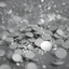 Placeholder: a photograph of round silver confetti