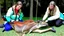 Placeholder: lady givig CPR on deer