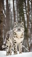 Placeholder: Hybrid of a snow Leopard and a wolf