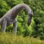 Placeholder: brachiosaurus eating leaves