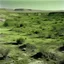 Placeholder: An olive green wasteland near an abandoned plague town painted by Andy Warhol