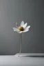 Placeholder: Beauty in Simplicity Minimalist Single Flower