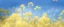 Placeholder: blue sky for top half, across Middle is canola flowers with canola stems branches and leaves below, realistic