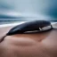 Placeholder: photograph of beautiful sperm whale washed up on shore, face view, lifeless, debris, foamy wave, sand, rock, 8k resolution, high-quality, fine-detail, detailed matte, photography, illustration, digital art, Jeanloup Sieff, Moe Zoyari, Marc Adamus, Ann Prochilo, Romain Veillon