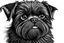 Placeholder: A line art of a dog (Affenpinscher). make this black and white and a bit filly. make the full image.