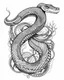 Placeholder: realistic snake tattoo idea, line art, background, vector, svg, black outline on white background, leave plenty of white space beetween lines for coloring, tattoo style, tattoo idea,full body