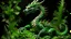 Placeholder: A green nature elemental dragon designed in Javanese shadow puppets painted by Frank Wilson