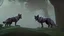 Placeholder: wolves on a large rock in the forest