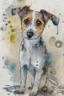Placeholder: Abstract wet watercolour of a rough coated jack Russell, ink lines, interlinked circles, detailed,focus on eyes, watercolour paper