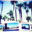 Placeholder: palm trees and polaroids