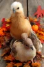 Placeholder: Cute Baby Turkey Animal Thanksgiving
