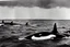 Placeholder: An orca army pod fighting in WW2 trenches