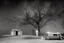 Placeholder: Creepy mausoleum at night, trees, hearse car