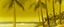Placeholder: A golden yellow summer seashore with palm trees painted by John Brack