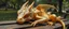 Placeholder: master oil painting by Rembrandt, close up portrait of transparent translucent dragon sleeping on a bench in the park