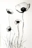 Placeholder: Minimalist ink pencil and charcoal drawing of poppies