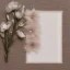 Placeholder: delicate arrangement of pressed flowers on soft layers of tulle, beautiful composition, aesthetic layout