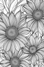 Placeholder: Intricately detailed flowers with large petals for easy coloring. for kids coloring page,no greyscale , there should be enough space for coloring, no colored areas, no detailed page, simple page with one image, bold lines, all on a white background