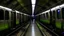 Placeholder: The Glasgow Tube mystery involves a strange occurrence on the tube system that has left authorities baffled. Passengers have reported spooky sightings and unexplained phenomena, sparking fear and curiosity among travelers.