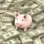 Placeholder: piggish cloven foot lying on stacks of money