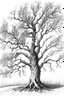Placeholder: boceto a lápiz de un árbol