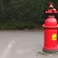 Placeholder: Merlin is a fire hydrant