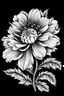 Placeholder: Ambrosia flower BLACK WITHE DRAWING