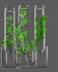 Placeholder: a glass test tube filled with plants, highly detailed, digital art, sharp focus, trending on art station, illustration