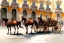 Placeholder: A fiacre landauer carriage with two lightbrown horses is sting in front of the Hofburg, Vienna. Aquarell