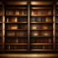 Placeholder: Generate an image of an empty bookshelf with wooden shelves and a warm, inviting atmosphere. The bookshelf should be well-lit with soft, natural lighting. The empty shelves should be neatly organized and evenly spaced. The background should be slightly blurred to emphasize the empty bookshelf. The overall composition should be visually appealing and suitable for showcasing custom book covers.