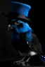 Placeholder: Blue Budgie with a tall black tophat on.