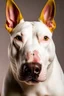 Placeholder: anthropomorphic bull terrier with yellowish white fur, short ears, brown spots in both of the eyes and a pink nose.