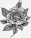 Placeholder: realistic rose tattoo idea, line art, background, vector, svg, black outline on white background, leave plenty of white space beetween lines for coloring, tattoo style, tattoo idea