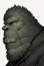Placeholder: orc, portrait