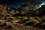 Placeholder: Dry trees, night, arid land, vegetations, rocks, little river, mountains