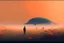 Placeholder: A man, a whale and a flower in the desert, warm colors, fog in the background, 16K,